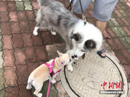 http://www.xinhuanet.com/legal/2018-08/09/1123243226_15337705597011n.jpg