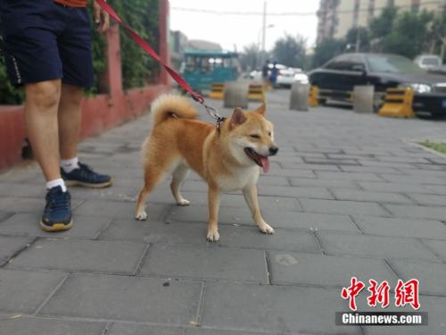 http://www.xinhuanet.com/legal/2018-08/09/1123243226_15337705597481n.jpg