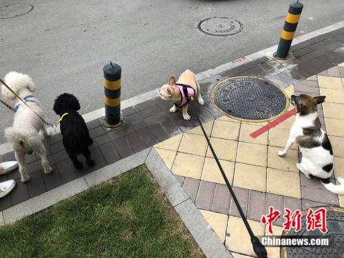 http://www.xinhuanet.com/legal/2018-08/09/1123243226_15337705599041n.jpg