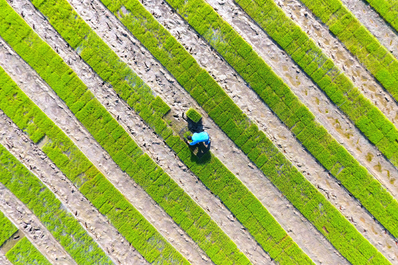 http://www.gov.cn/xinwen/2018-04/09/5281000/images/c62438f401ec4dd58a908386d8d75160.jpg